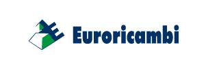 Euro Logo